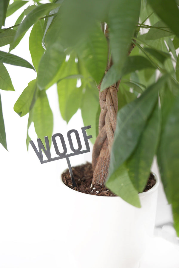 Woof Plant Stake |  garden gift farmhouse decor dog lover houseplant word art plant accessory rustic decor