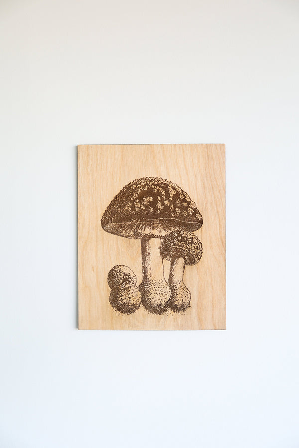 Wooden Mushroom Panel Wall Art  |  forest decor botanical cottagecore rustic farmhouse home decor gallery wall mushroom art cabincore
